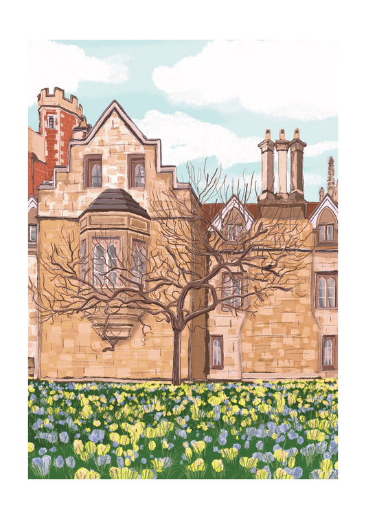“Trinity College” Art Print